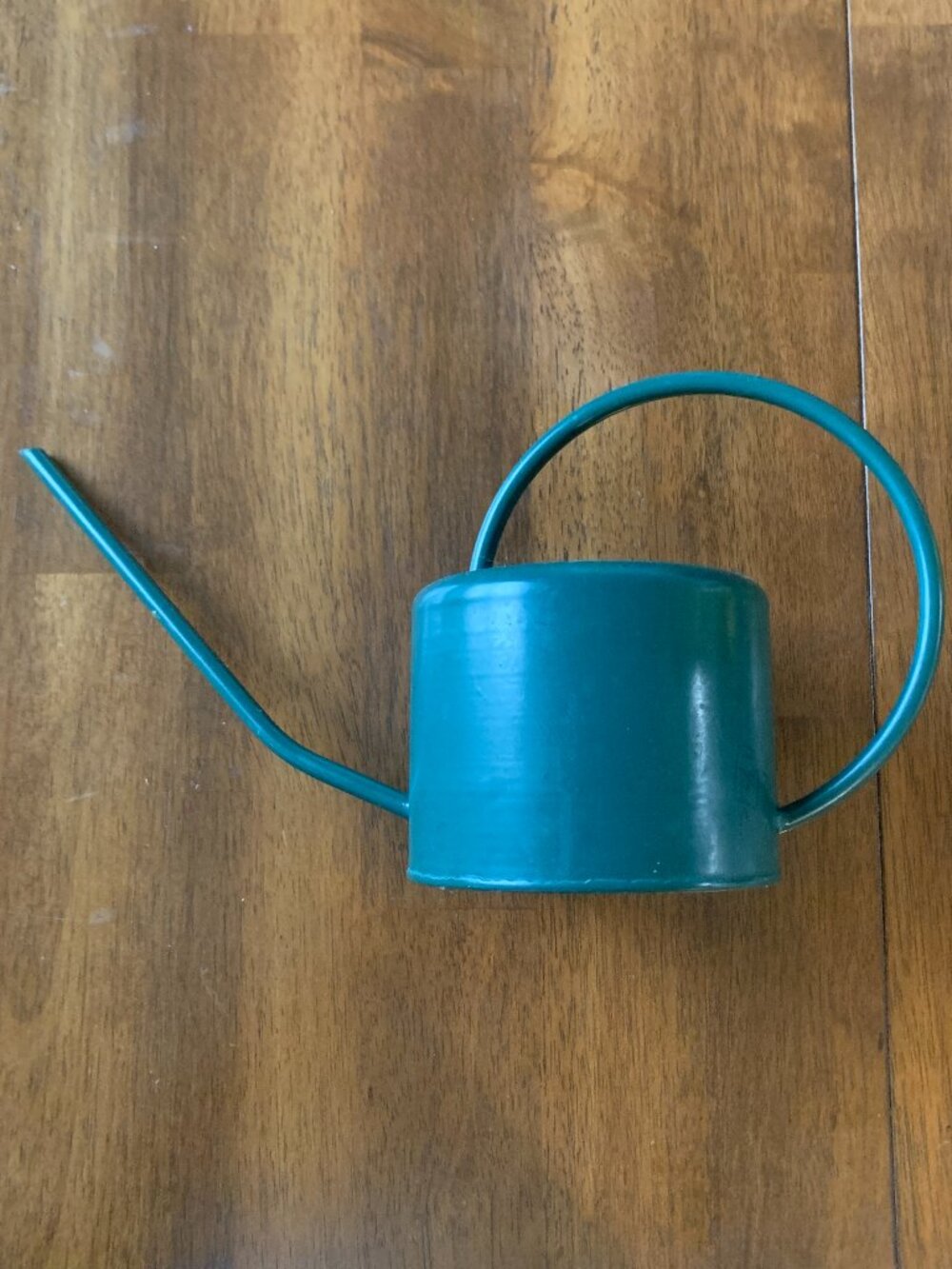 Small Green Metal Watering Can Long Narrow Spout Mini Indoor Plant Indoor Pot Po
